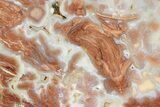 Polished Wyoming Youngite Agate/Jasper Slab - Fluorescent #299341-1